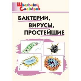 

Бактерии, вирусы, простейшие. Петрушина Е.С.