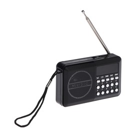 Радиоприемник Telefunken TF-1667, FM+ 87.5 МГц - 108 МГц, MP3, USB, microSD,800 мАч, чёрный Ош