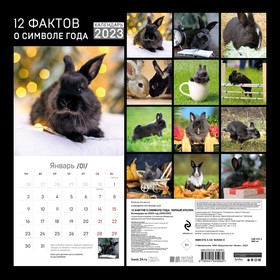 

Календарь настенный «12 фактов о символе года. Черный кролик» 2023 год, 30х30 см