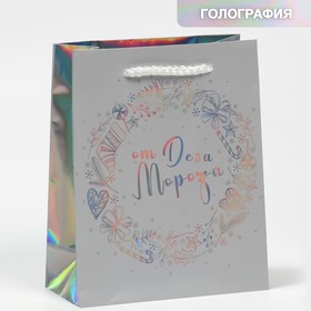 Пакет голографический  «От Деда Мороза», 12 х 15 х 5.5 см Ош