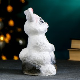 

Копилка "Заяц с долларом" белый, 21х13см
