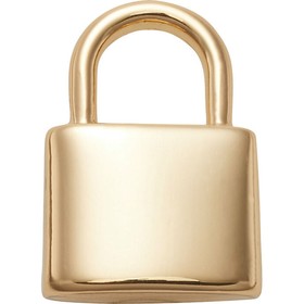

Джибитсы Crocs Gold Lock (10008249)