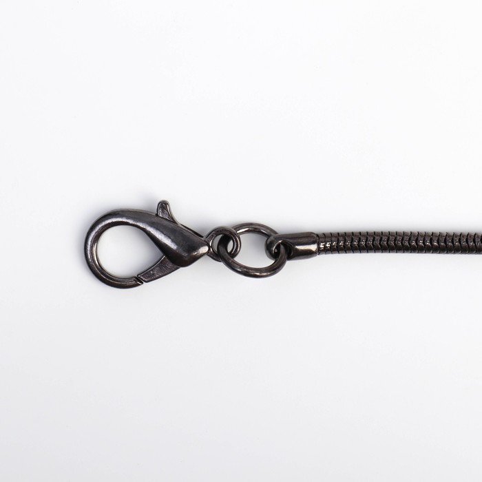 фото Цепочка-шнурок для сумки, с карабинами, железная, d = 3,2 мм, 120 см, цвет чёрный никель арт узор