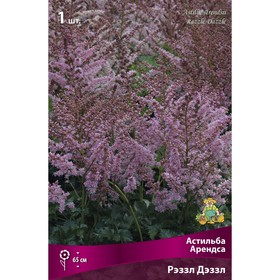 

Астильба Арендса Рэззл Дэззл, I р-р, 1 шт. 65 h(см), Осень 2022