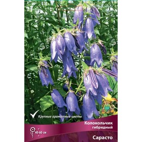 

Колокольчик гибридный Сарасто, I р-р, 1 шт. 40-60 h(см), Осень 2022
