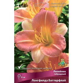 

Лилейник гибридный Лонгфилдз Баттерфлай, I р-р, 1 шт. 35 h(см), Осень 2022