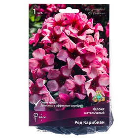 

Флокс метельчатый Ред Карибиан, I р-р, 1 шт. 65 h(см), Осень 2022