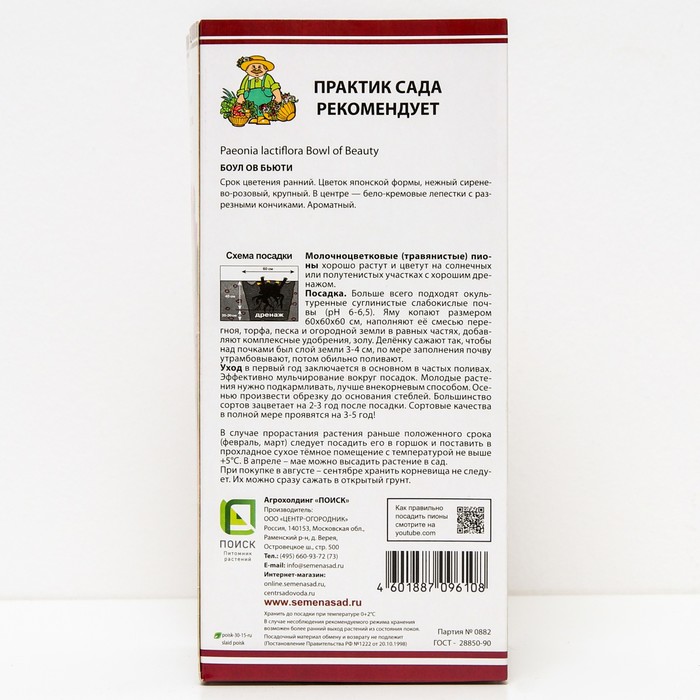 

Пионы молочноцветковые Боул ов Бьюти, 2-3 р-р, 1 шт. 80-100 h(см), Осень 2022