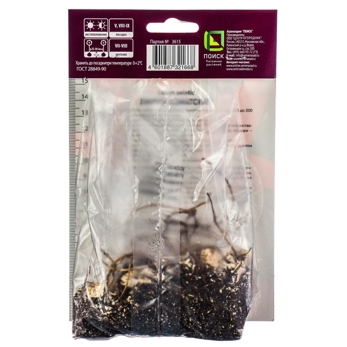 

Лилии Азиатские горшечные Виннинг Джой, 12/14 р-р, 2 шт. 40 h(см), Осень 2023