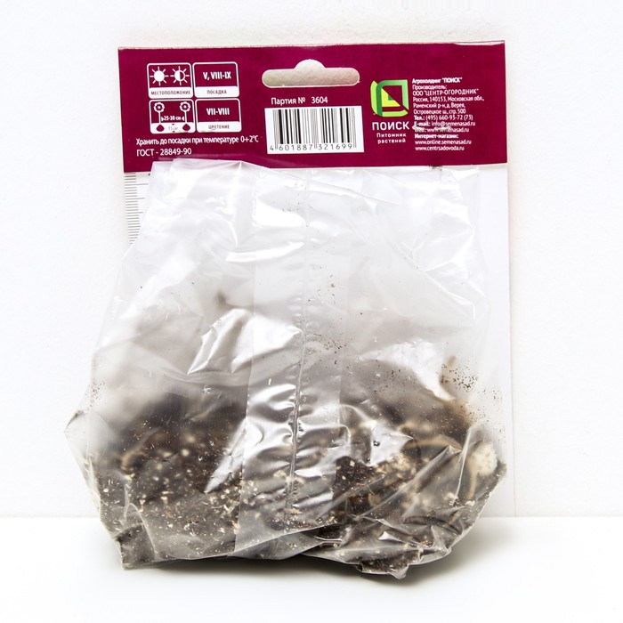 

Лилии Азиатские горшечные Конфетти Джой, 12/14 р-р, 2 шт. 35 h(см), Осень 2022