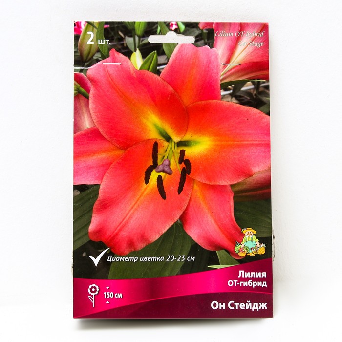 Лилия он стейдж фото и описание - MosRosa.ru