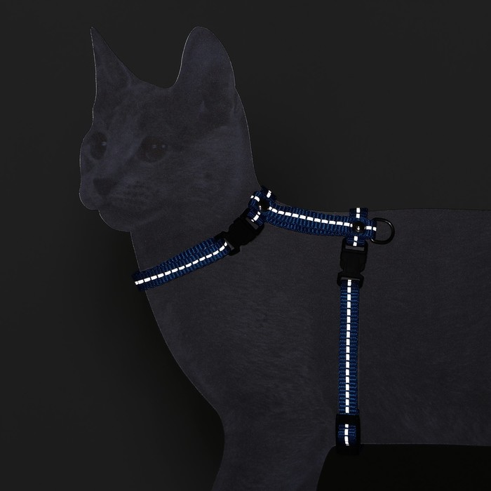 Шлейка для кошек, ширина 1 см, светоотражающий, ОШ 16,5-27 см, ОГ 21-35 см, синий