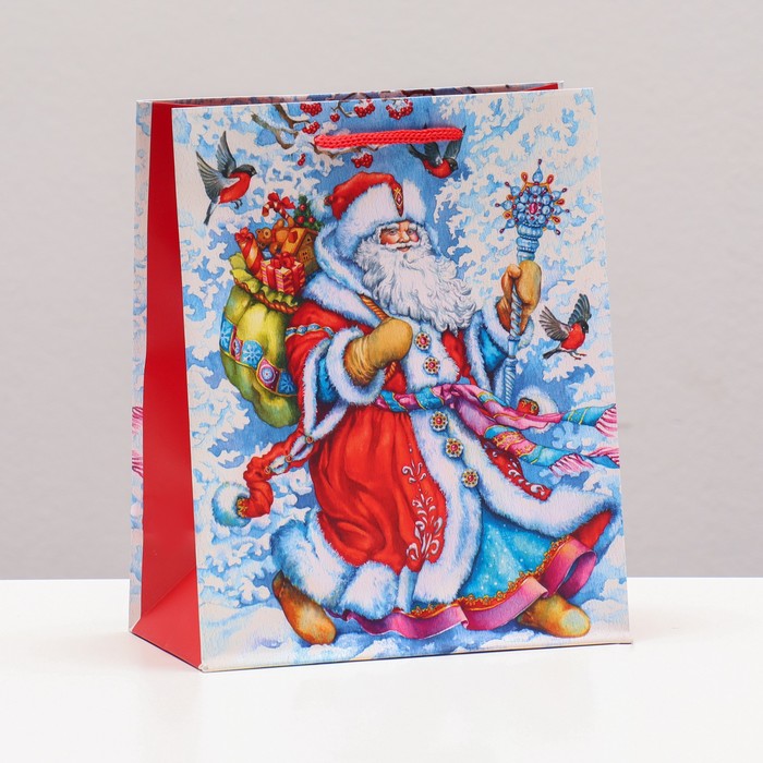 Пакет подарочный Дедушка Мороз, 18 х 22,3 х 10 см