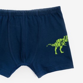 

Трусы для мальчика боксеры, цвет тёмно-серый/дино, рост 98-104 см