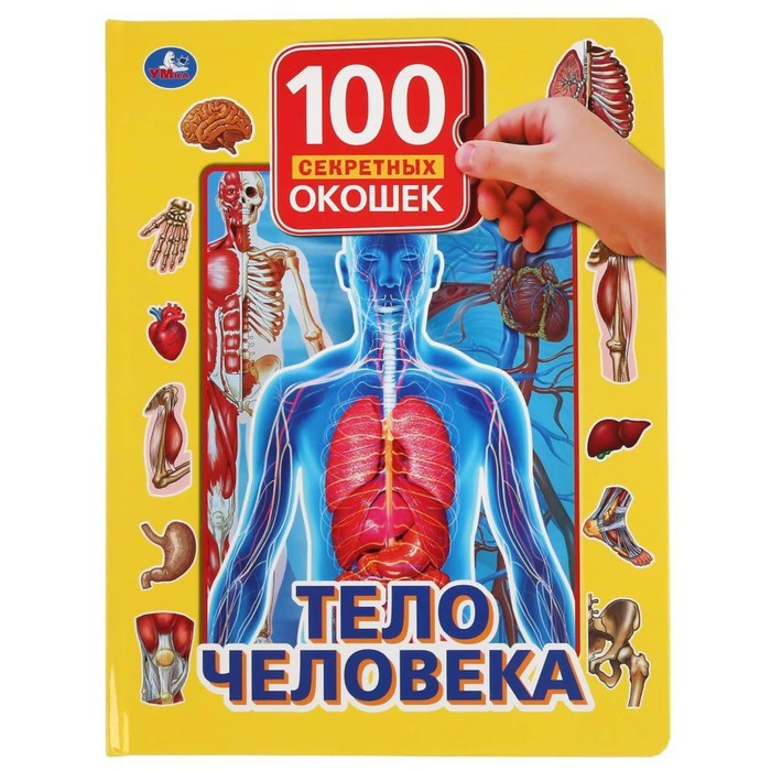 Тело человека игорь сергеев тело человека