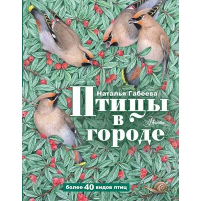 

Птицы в городе. Габеева Н.М.
