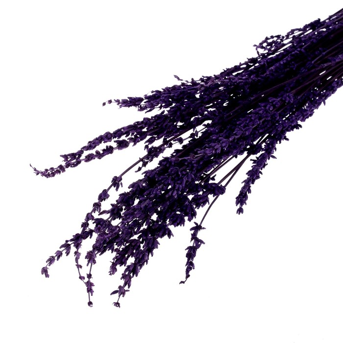 Сухоцвет «Лаванда узколистная», фиолетовый, 50 - 100 г в упаковке