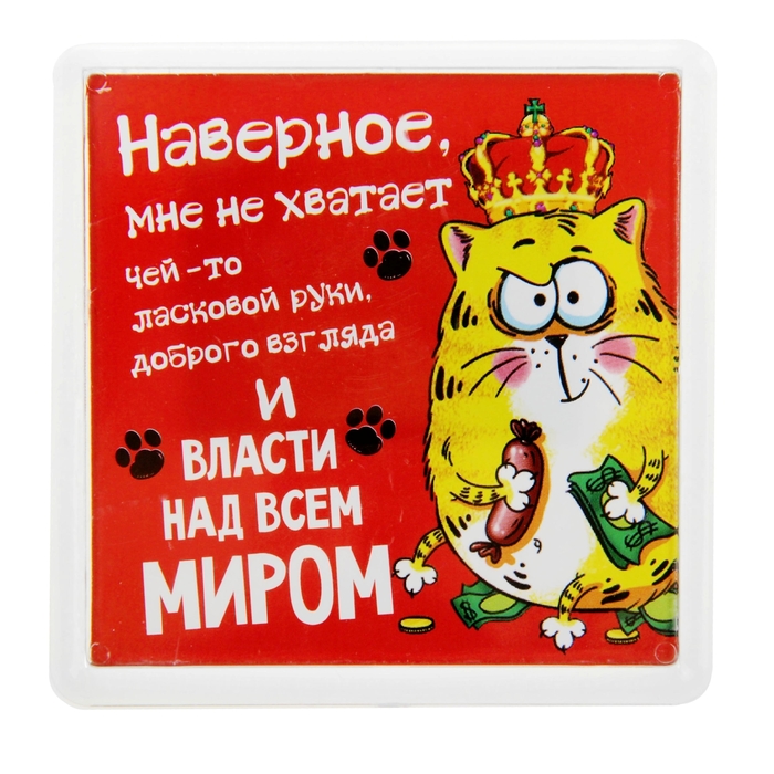 Магнит в пластиковой капсуле "Не хватает власти над миром"