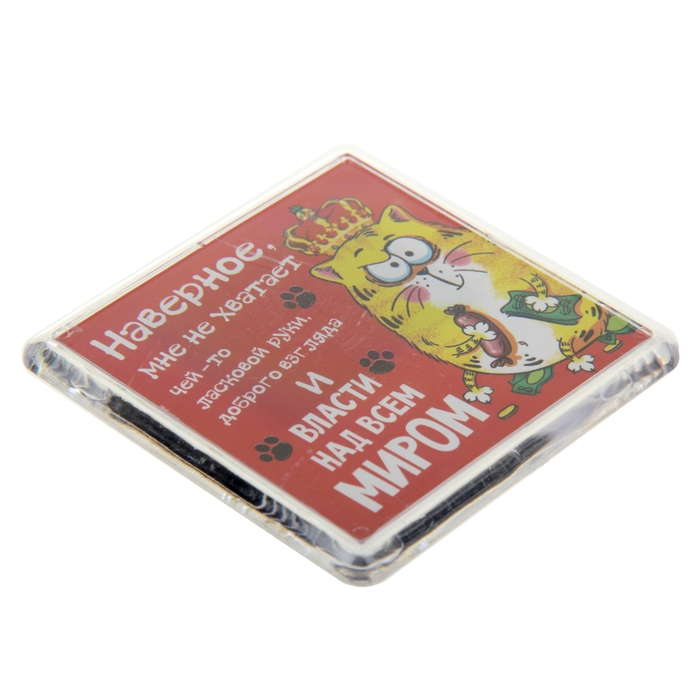 Магнит в пластиковой капсуле "Не хватает власти над миром"