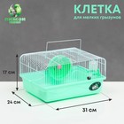 Клетка для грызунов, 31 х 24 х 17 см, зелёная
