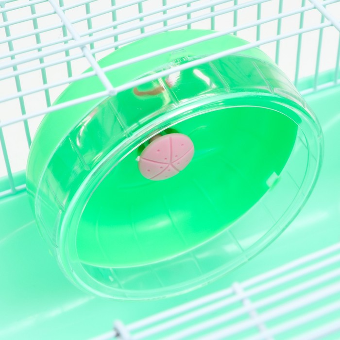 Клетка для грызунов, 31 х 24 х 17 см, зелёная