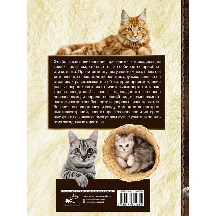

Большая энциклопедия. Кошки. Смирнов Д.С.