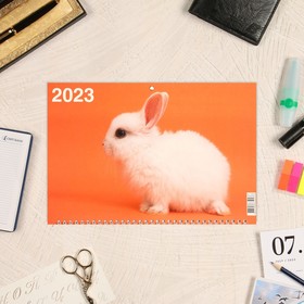 

Календарь квартальный, трио "Символ Года - 9" 2023 год, 31х69см