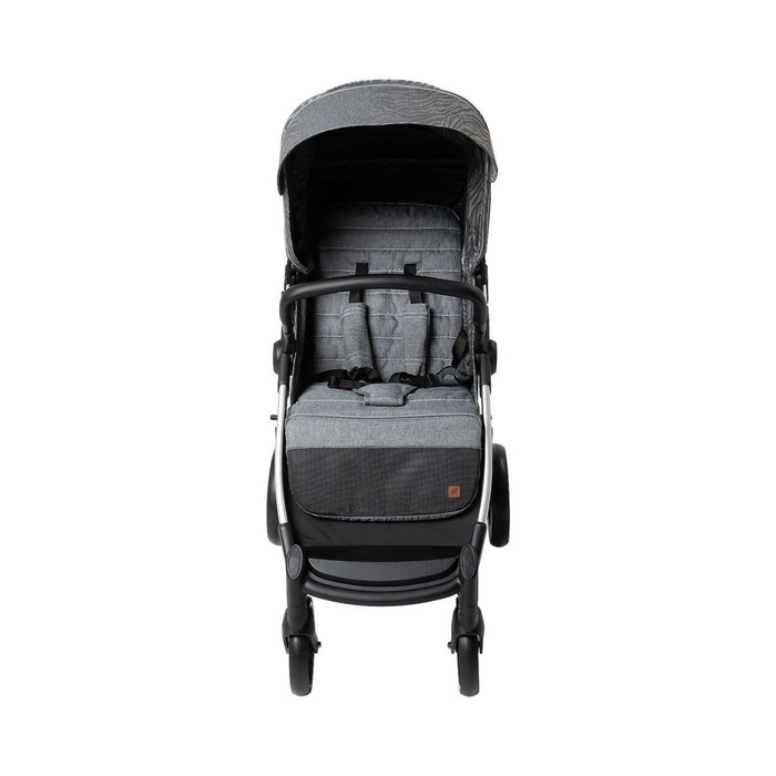 

Коляска прогулочная Everflo Go E-500, цвет gray