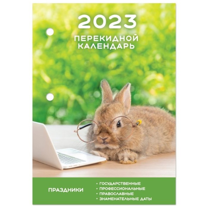 Календарь-ежедневник, настольный, перекидной, 2023 год, STAFF "Умный кролик", 160 листов, газетный блок, 1 краска