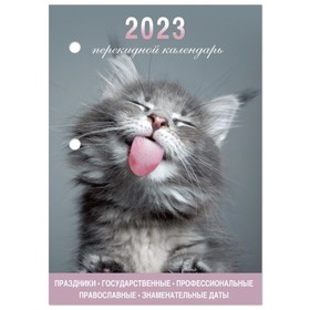 Календарь-ежедневник, настольный, перекидной, 2023 год, STAFF Meow, 160 листов, блок офсет, 2 краски Ош