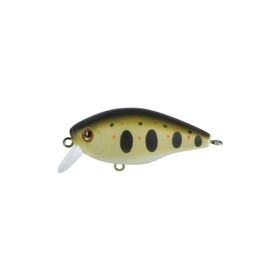 

Воблер TSURIBITO SWEET CRANK 38F-SR, 38 мм, 4.2 г, 0.5-0.8 м, цвет 524