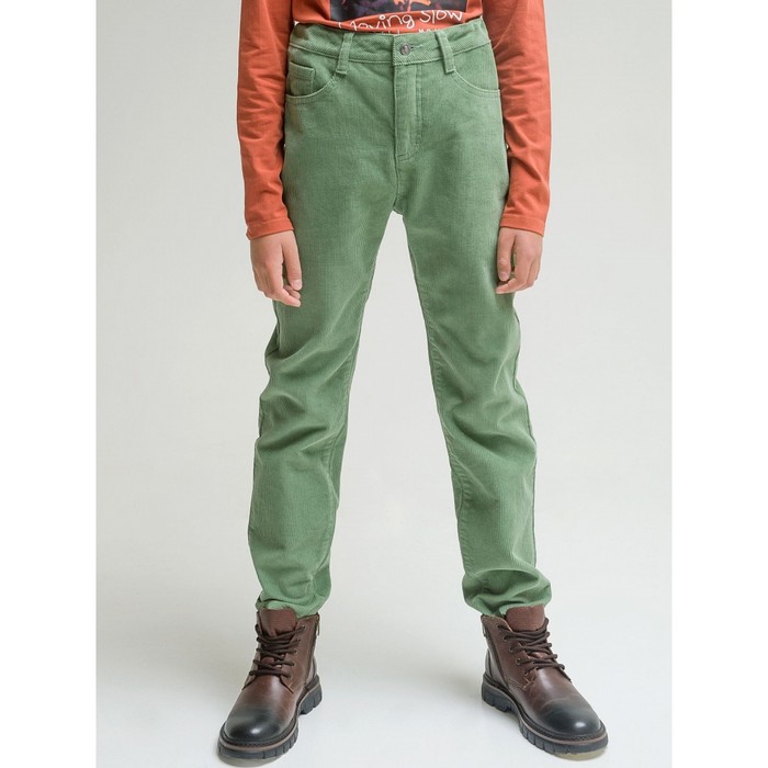 

Брюки для мальчиков, рост 122 см, цвет зеленый