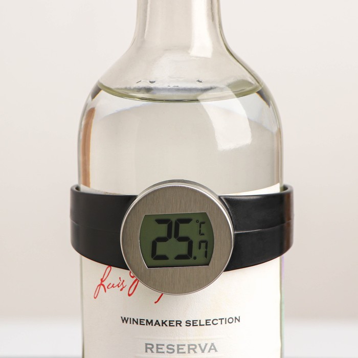 фото Термометр для вина magic, 8×8×4 см, нержавеющая сталь