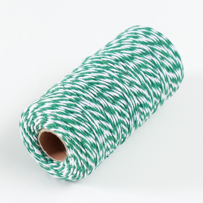 

Пряжа 100% целлюлоза "Softino Raffia Color Melange" кручёная, ярко-зелёная 100м ±2м 87 гр