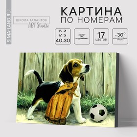 Картина по номерам на холсте с подрамником «Щенок с мячом», 40 х 30 см