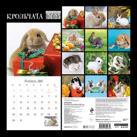 

Календарь настенный «Крольчата» 2023 год, 30х30 см