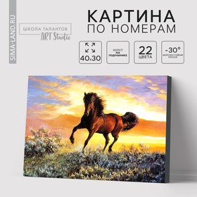Картина по номерам на холсте «Грациозный бег коня», 40 × 30 см