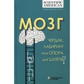 

Мозг: чердак, лабиринт или опора для шляпы