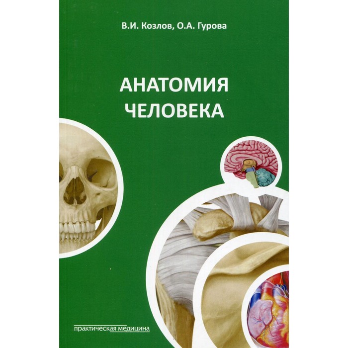 Анатомия человека. 4-е издание. Козлов В.И., Гурова О.А.