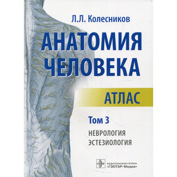Анатомия человека. В 3-х томах. Том 3. Неврология, эстезиология. Колесников Л.Л.