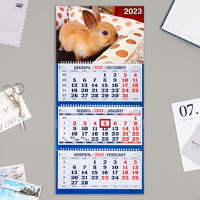 Календарь квартальный, трио 'Символ Года - 11' 2023 год, 31х69см Ош