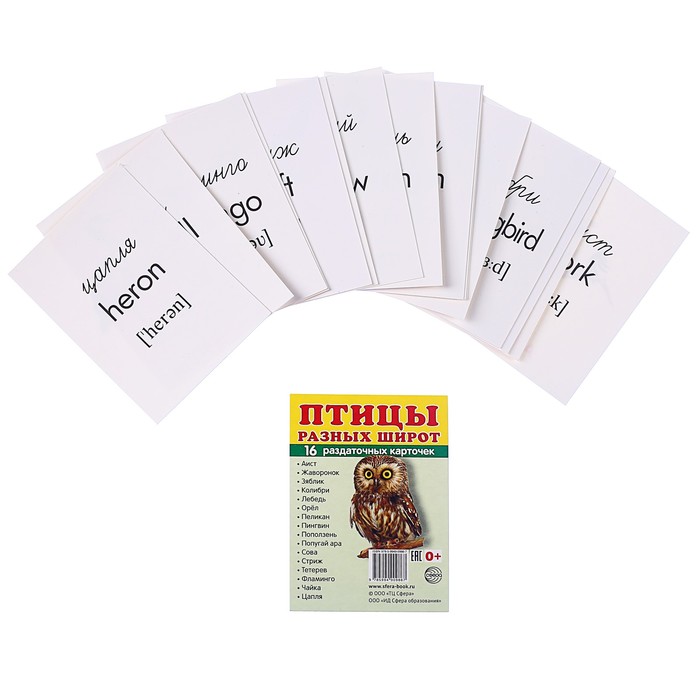 Карточки обучающие "Птицы разных широт" 16 шт. 6,3 х 8,7 см