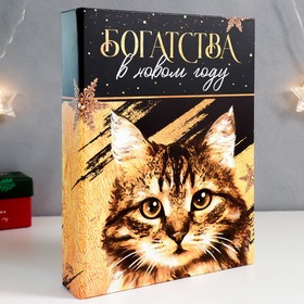 

Шкатулка-книга "Кот. Богатства" 17х23 см