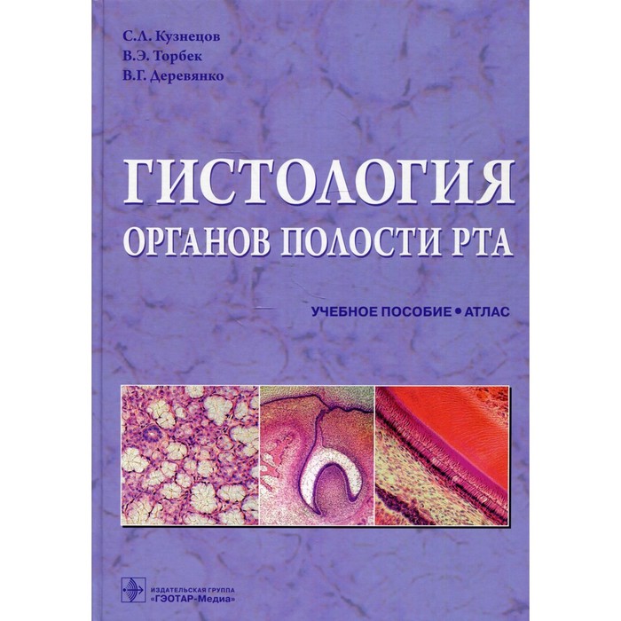 Гистология органов полости рта. Кузнецов С.Л.