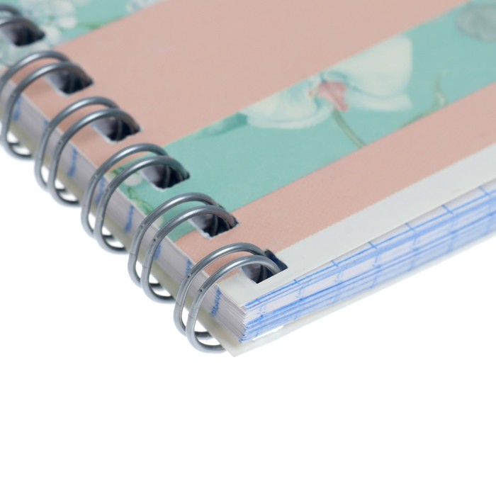 

Тетрадь 48 листов в клетку на гребне Calligrata "Пейсли", обложка мелованный картон, белизна 95%