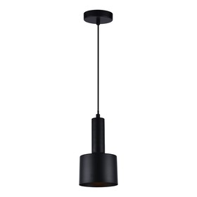 

Светильник G51196/1BK, E27, 1x40Вт, цвет чёрный