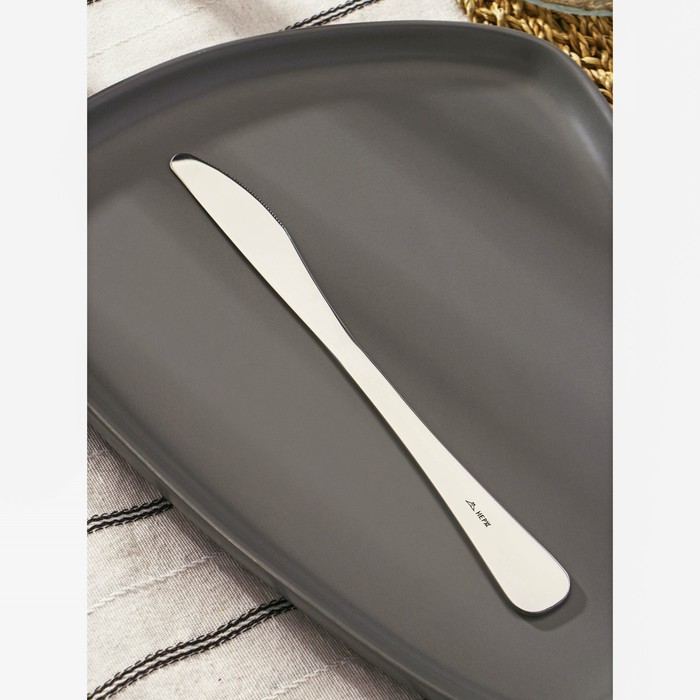 Нож столовый «Уют», h=21 см