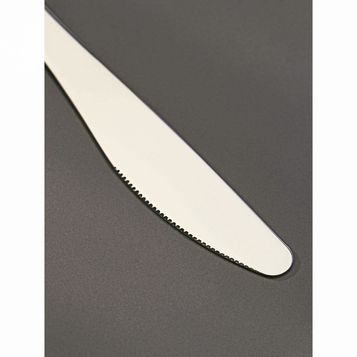 Нож столовый «Уют», h=21 см