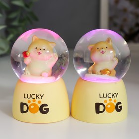 Стеклянный шар свет 'Счастливый пёс' МИКС d=4,5 см 7х4,5х4,5 см Ош