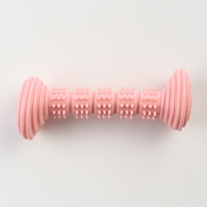 фото Игрушка для собак "палка", tpr, массажная, 14,2 х 5,2 см, розовая пижон